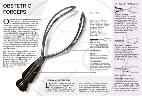 Obstetric Forceps Informational Poster and Realistic Vector Illustration – Emily Adams ...