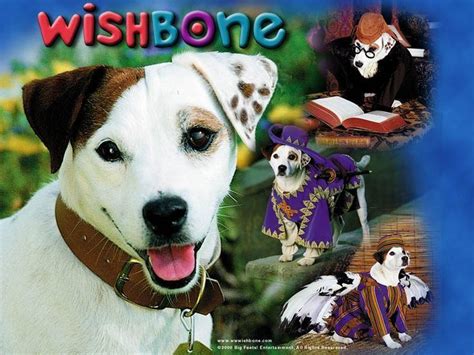 Wishbone (TV series) - Alchetron, The Free Social Encyclopedia