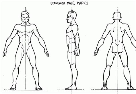 Ref Anatomy | Human body drawing, Cartoon expression, Human male