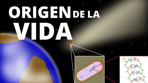 10 teorías del origen de la vida (fácil de entender). Biología🦠 - YouTube