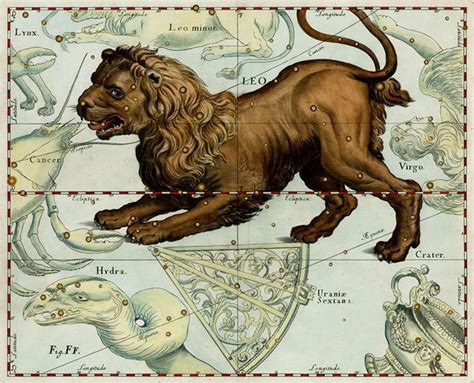 Leo Constellation Myths and Facts | Under The Night Sky