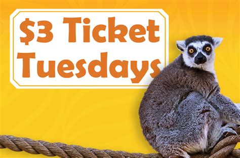 $3 Ticket Tuesdays | Reid Park Zoo