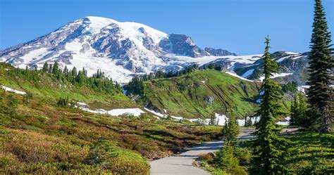 15 Epic Hikes in Mount Rainier National Park | Earth Trekkers