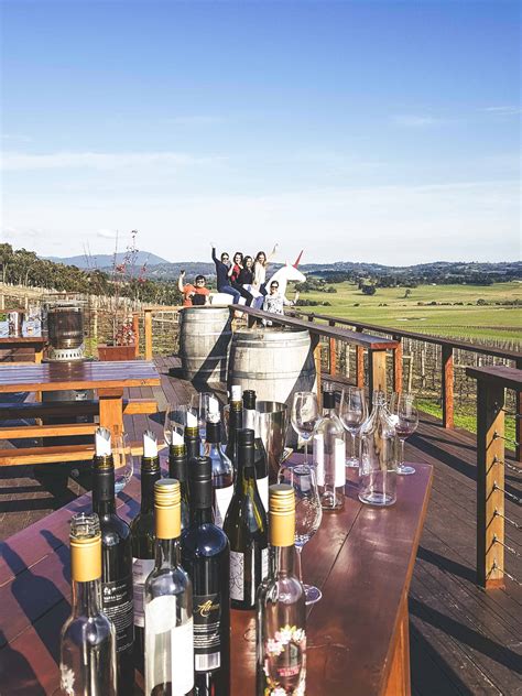 Yarra Valley Wine Tours | Best Winery Tours in Melbourne | Dancing Kangaroo Tours