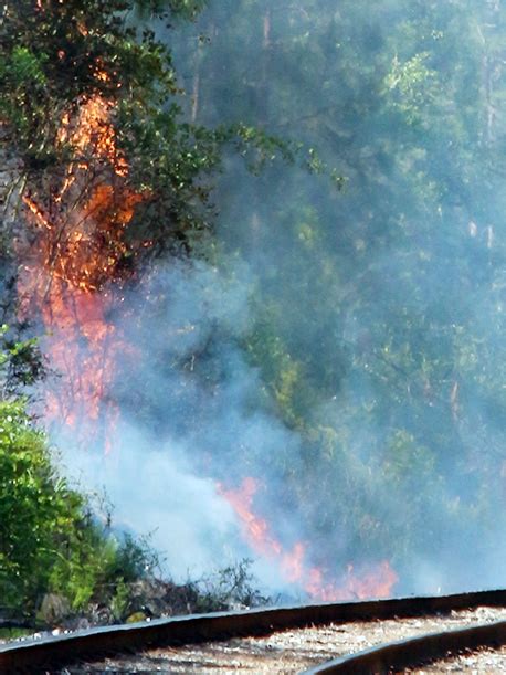 Brush Fire Damages Railroad Line : NorthEscambia.com