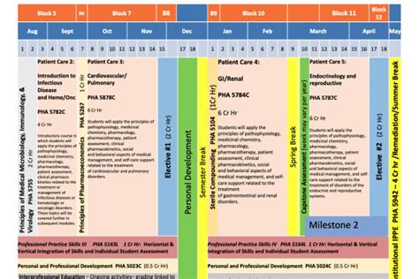 Pharm.D. Curriculum » PharmD Curriculum » College of Pharmacy ...