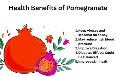 Health Benefits of Pomegranate - Arogyabhava