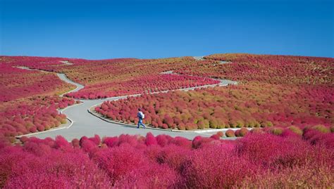 Off the Beaten Path: Autumn in Japan | KCP International