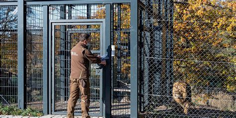 HST - Animal enclosures in zoos