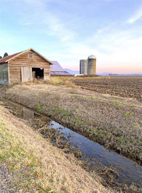 Off-the-Beaten-Path Things to Do in Skagit County, WA | Emerald Palate