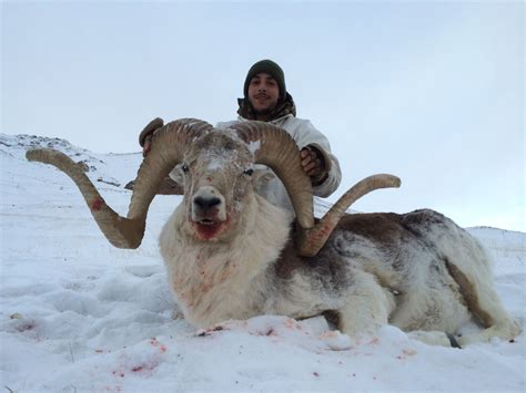 Jagdreise in Tadschikistan - Versch Jagdreisen