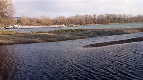 Danube, River, Nature. Free Stock Video - Pixabay