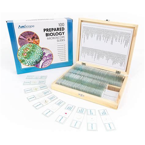 AmScope PS100A Prepared Microscope Slide Set for Basic Biological ...