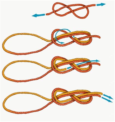 The Basic Knots