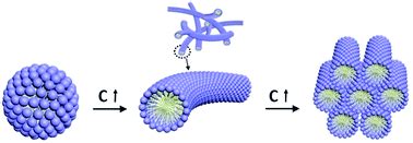 Spontaneous wormlike micelles formed in a single-tailed zwitterionic surface-active ionic liquid ...