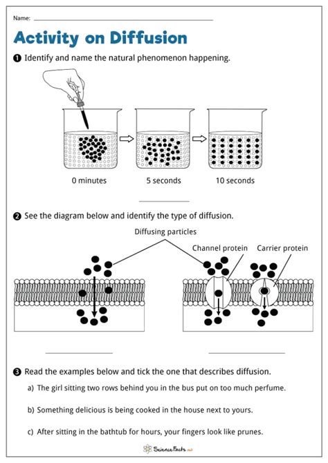 Diffusion Worksheets - Free Printables