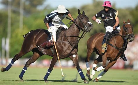 Home Office should grant 'stay of execution' for English polo over Argentine grooms