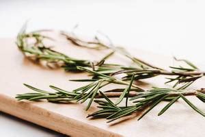 Rosemary bush in a flower pot on a white background - Creative Commons ...