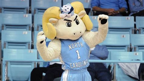 The Tar Heel mascot, Ramses, in the Dean Dome! | Unc tarheels, Unc ...