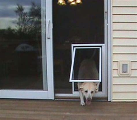 Screen Door To Keep Pets In - Apartments and Houses for Rent