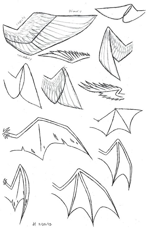 Wing Study by VibrantEchoes on DeviantArt