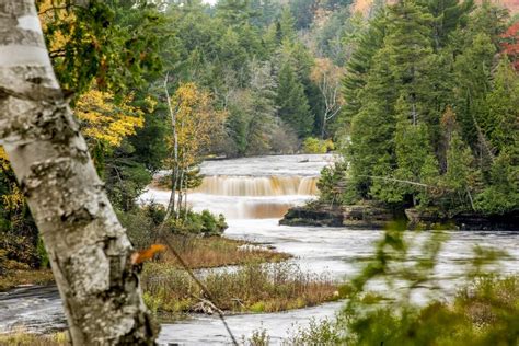 Tahquamenon Falls Hiking: Routes & Tips - Wandering Michigan Wisconsin