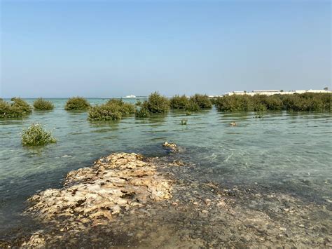 Five beaches in Qatar you can visit in Qatar | Qatar Living