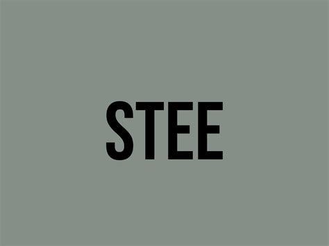 What Does Stee Mean? - Meaning, Uses and More - FluentSlang