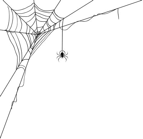 Download Web World Wide Silk - Transparent Spider Webs | Transparent ...