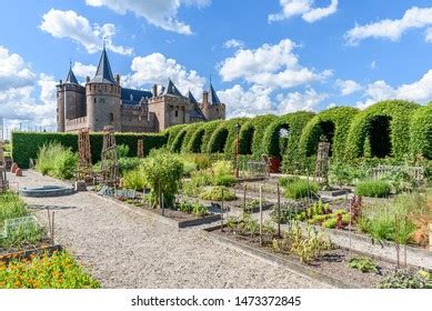 Vegetable Gardens Muiderslot Castle Nederlands Castle Stock Photo ...