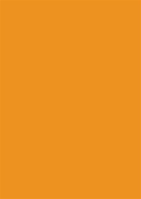 2480x3508 Carrot Orange Solid Color Background