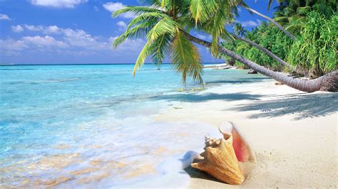 Download Tropical Beach Scenes Wallpaper | Wallpapers.com