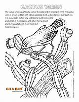 Asu Coloring Pages sketch template