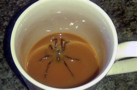 16 Photos That Will Determine Once And For All If You're Afraid Of Spiders