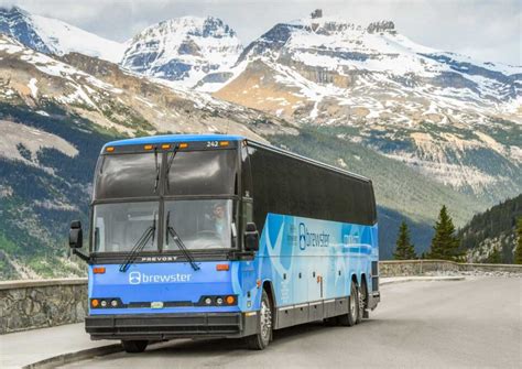 How to Get from the Calgary Airport to Banff: Transfer, Bus, or Rental Car