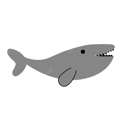 Gray Whale Vector Hd PNG Images, Gray Whale Cartoon Creative Graph, Grey, Whale, Cartoon PNG ...