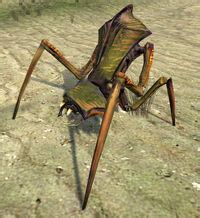 Antlion (Half-Life 2) | Annex | FANDOM powered by Wikia