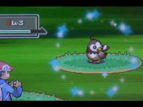 Live Shiny Starly After 20,591 REs! (Pokemon Platinum) - YouTube