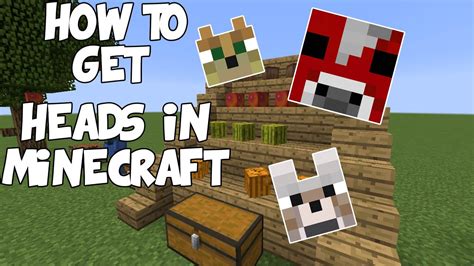 How To Get Custom Heads In Minecraft Pe Command : How to get your own custom head in minecraft ...