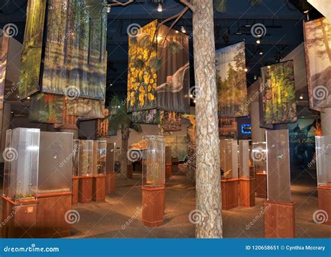 North Carolina Museum of Natural Sciences Editorial Photo - Image of ...