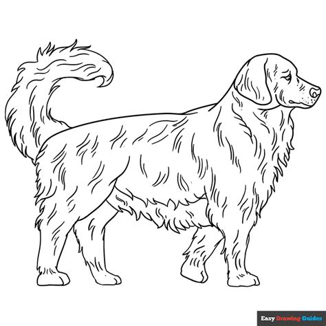 Golden Retriever Coloring Page - Free Printable Templates