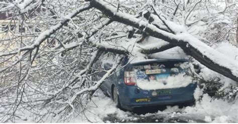 Gov. Abbott Issues Disaster Declaration After Ice Storm Damage