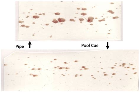 Bloodstain Pattern Analysis: Principles