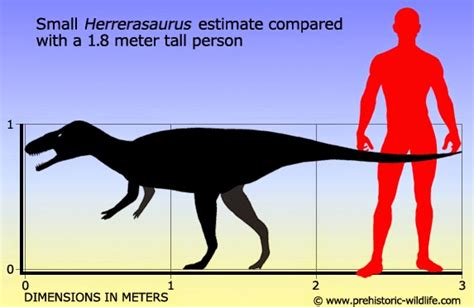 Dinosaur Journal: Bigger, fiercer and deadlier