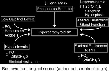 Secondary Hyperparathyroidism In Ckd