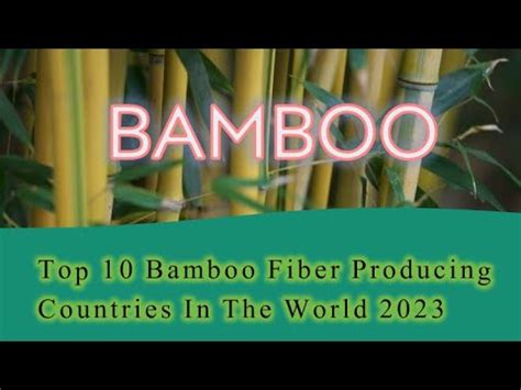 Top 10 Bamboo Fiber Producing Countries In The World 2023 | The Story Of Bamboo Fiber (Part - 02 ...