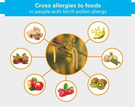 Spring, Flowers, Allergy - EUROIMMUNBlog