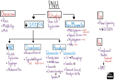 PNH – The Clinical Problem Solvers