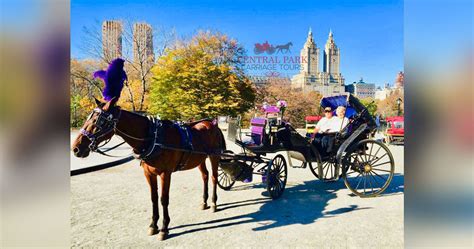 NYC Horse Carriage Rides | Central Park Carriage Tours