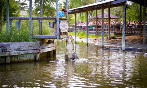 Alligator Adventure | MyrtleBeach.com